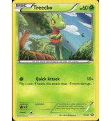 Treecko XY36 Promo (Holo)