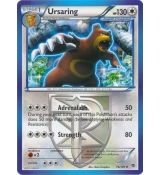 Ursaring 76/101 - Plasma Blast