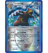 Ursaring 76/101 Reverse - Plasma Blast