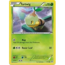 Turtwig 1/135 - Plasma Storm