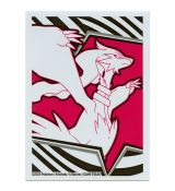 Pokémon - obaly na karty Reshiram