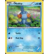 Mudkip XY38 Promo (Holo)