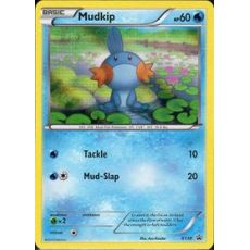 Mudkip XY38 Promo (Holo)